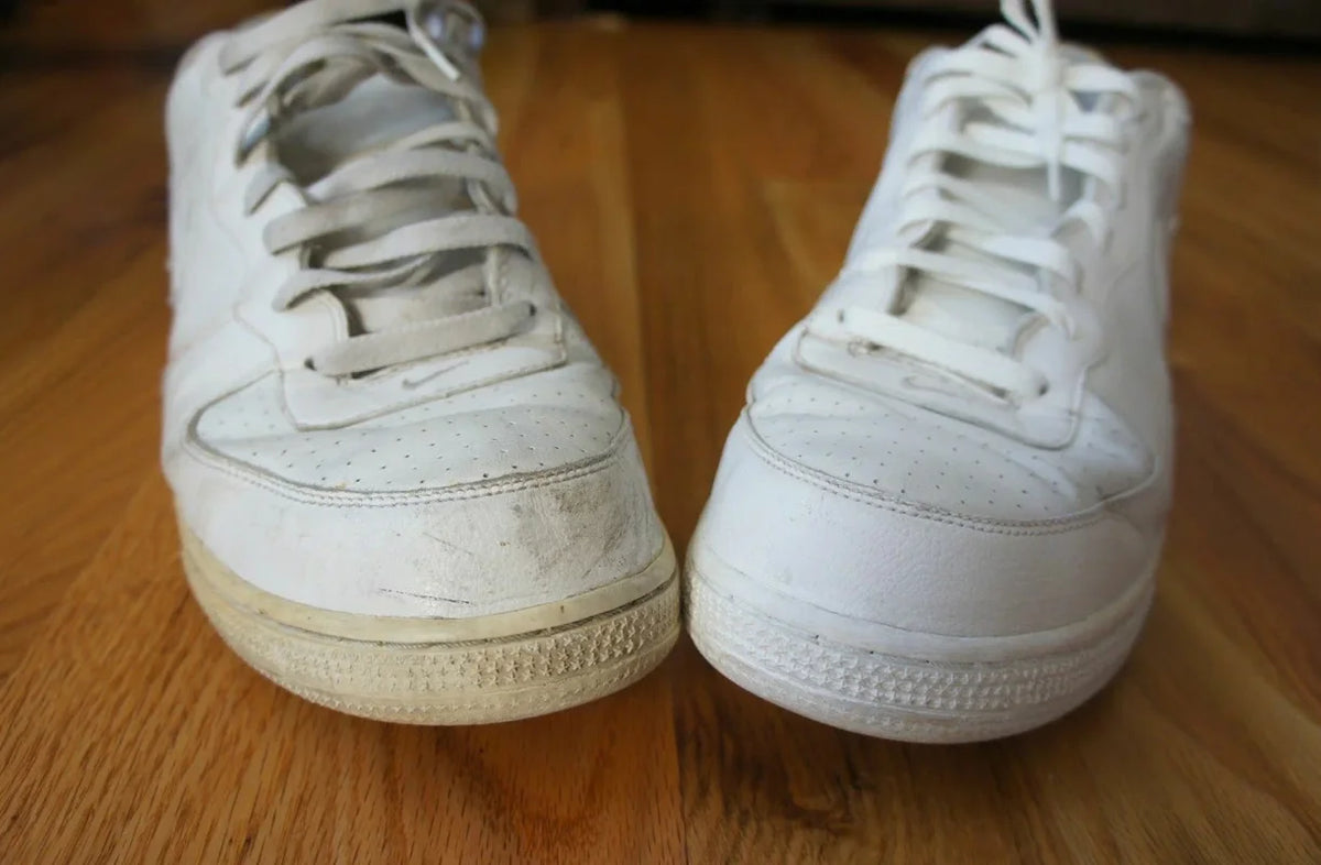 avis1.webp__PID:8039f64d-ded5-48bf-b7fc-1465f97e9359